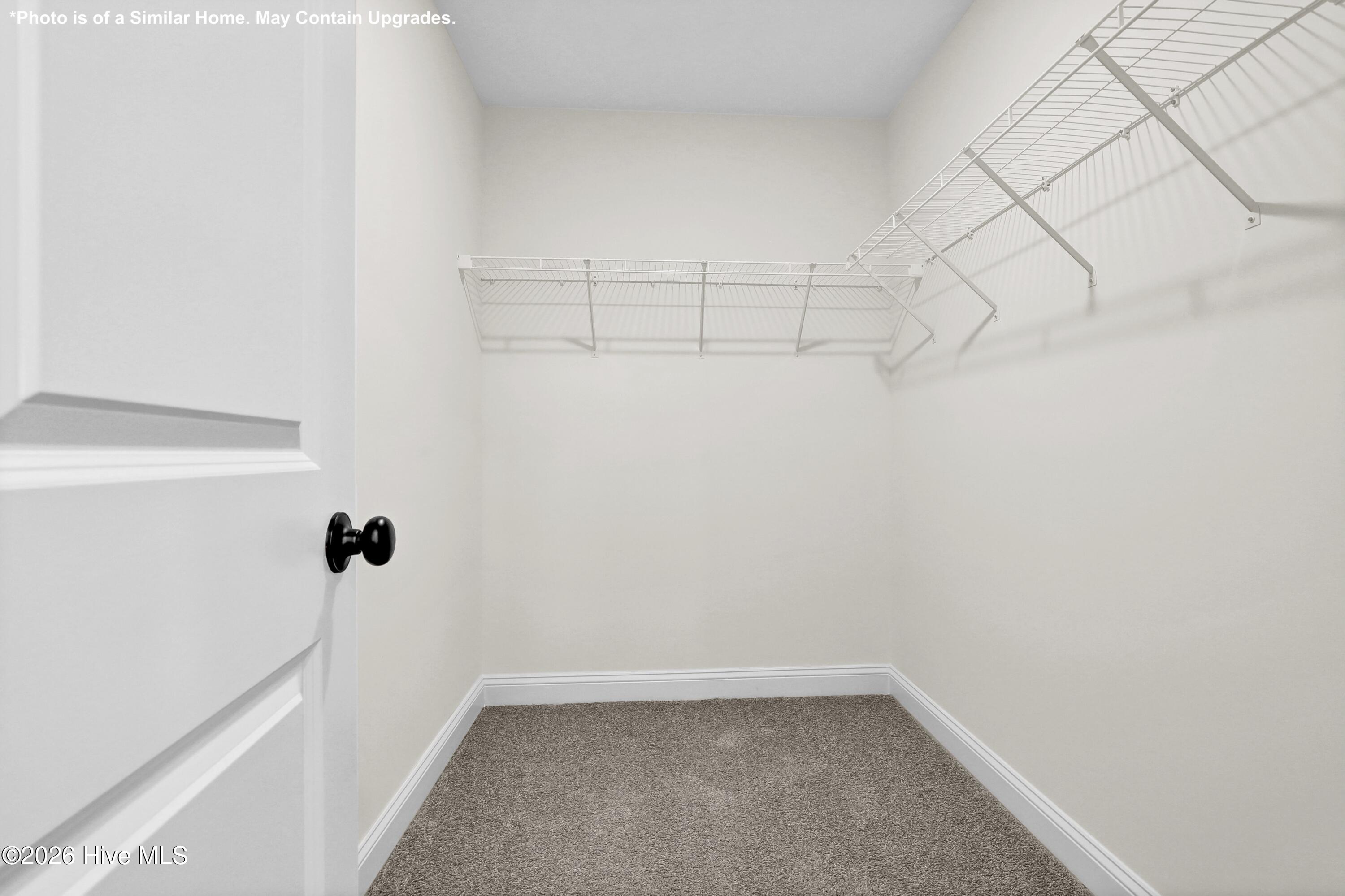 100537568 | Photo 30