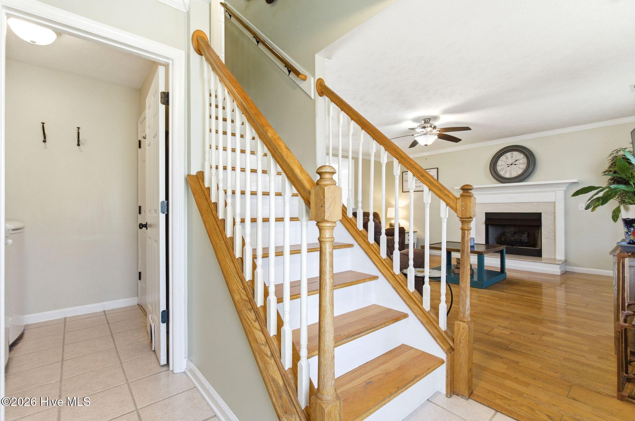 100561408 | Photo 13