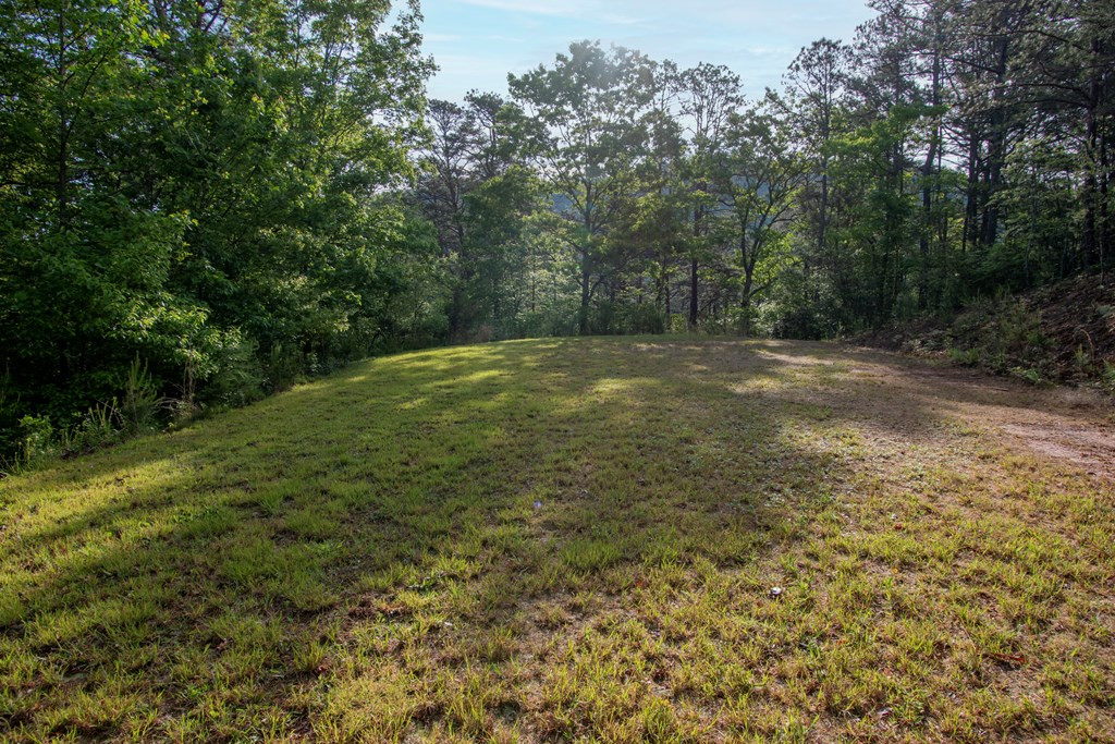 Exterior photo of 36 36 Mountain Top Road, Marble, NC 28905. MLS: 98544471