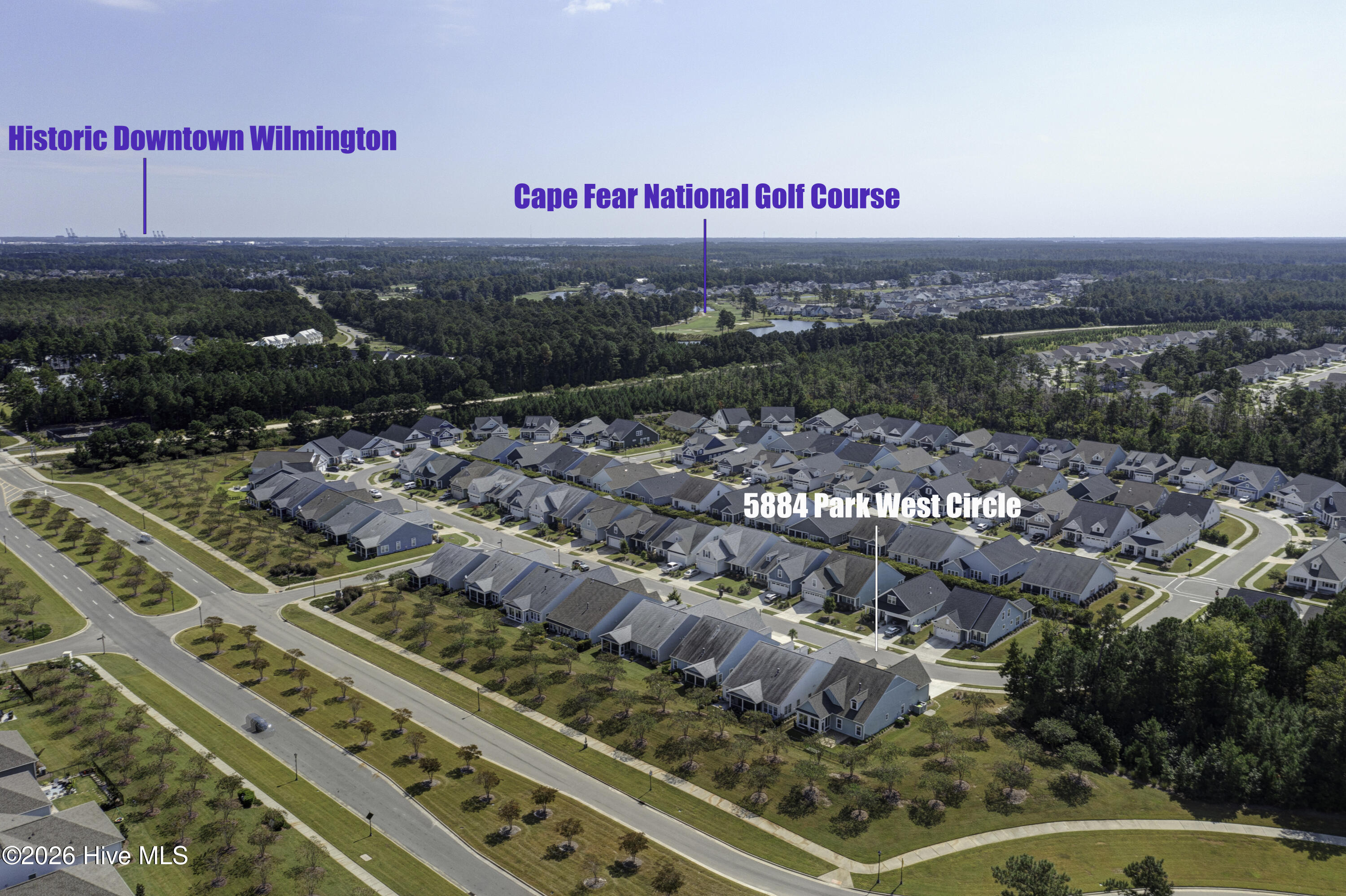 100533890 | Photo 42