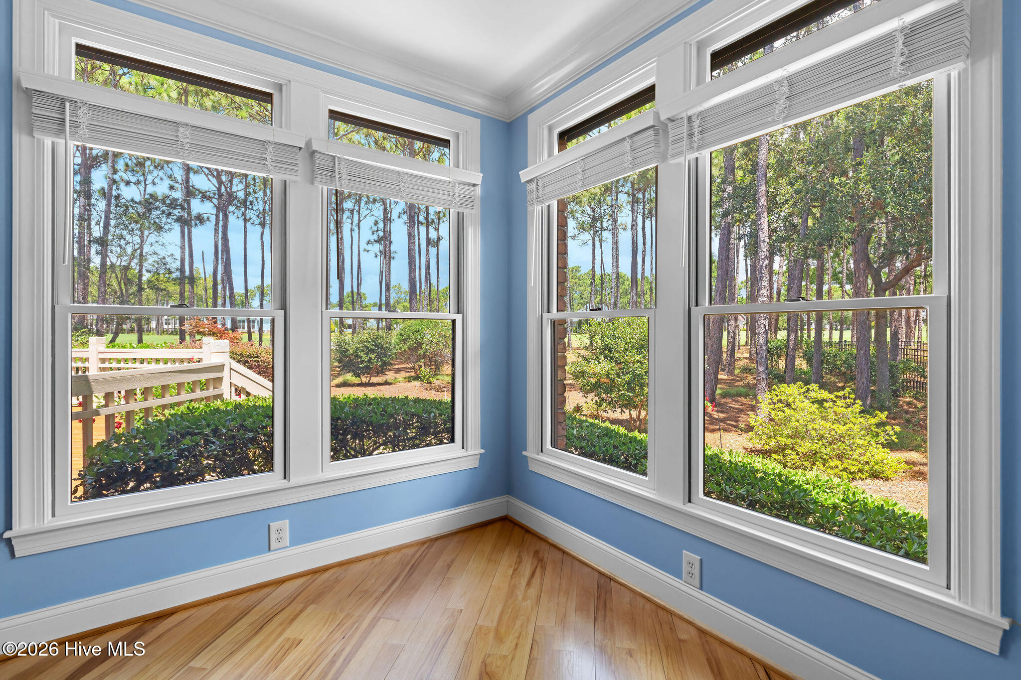 100548545 | Photo 45