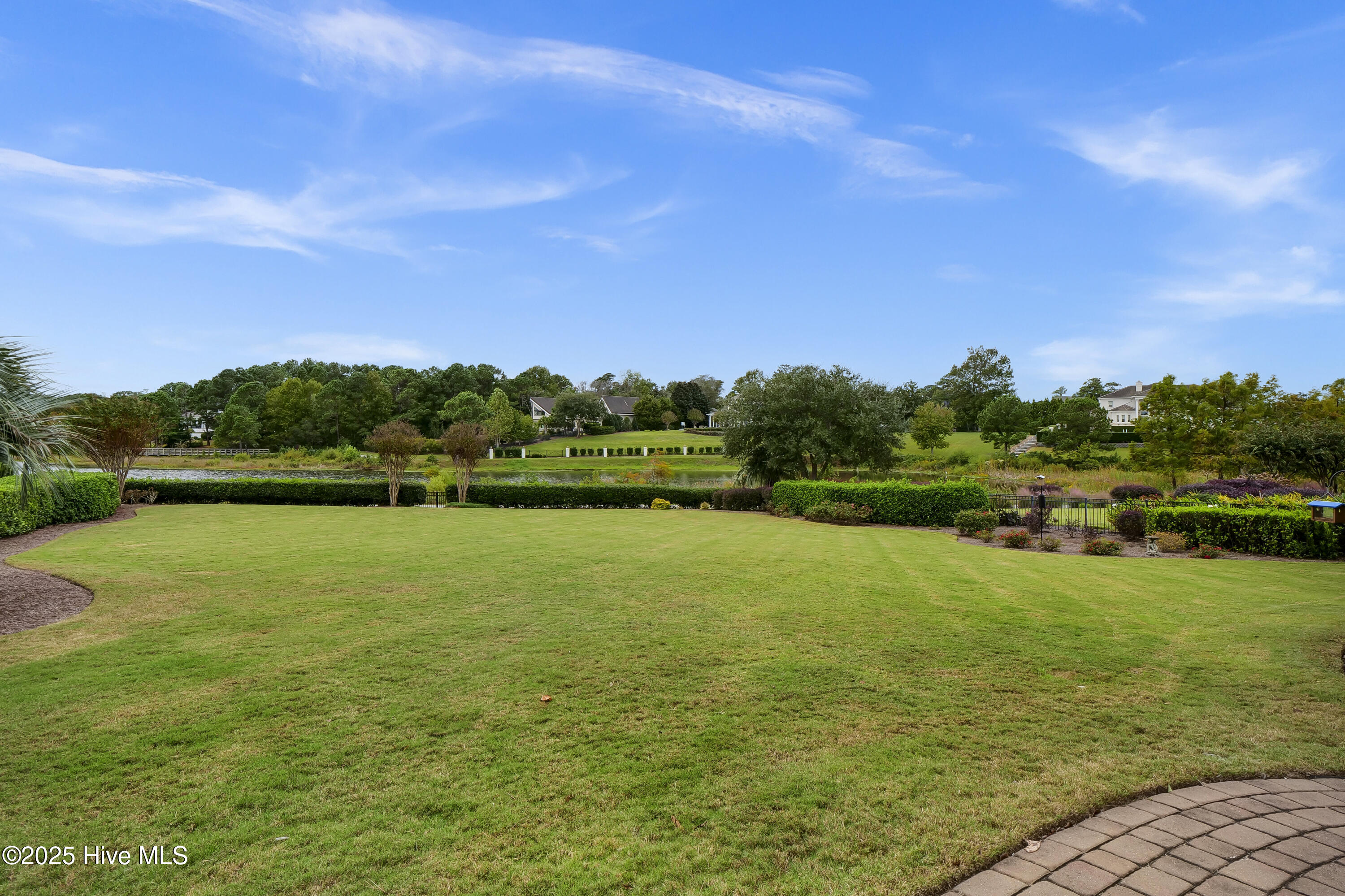 100555376 | Photo 50