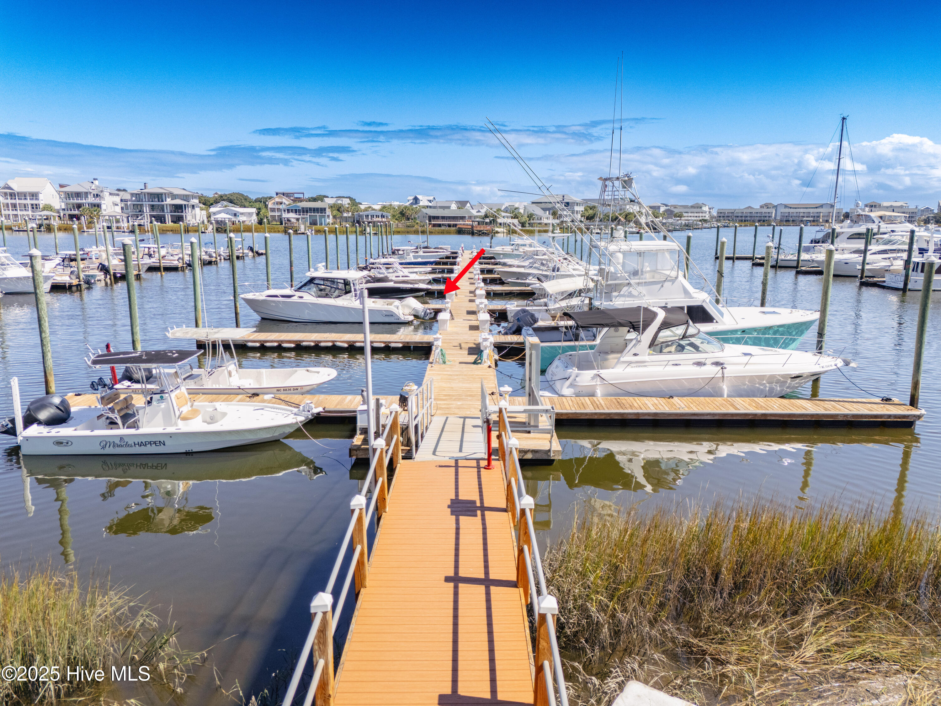 100527237 | Photo 51