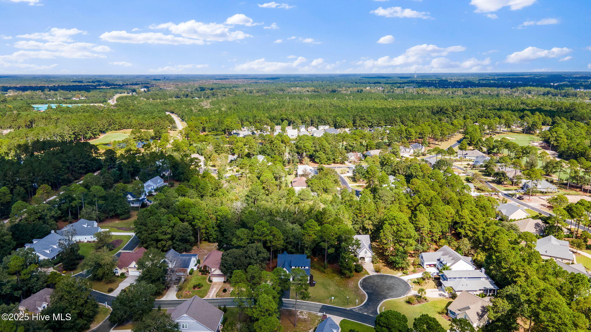 100522632 | Photo 79