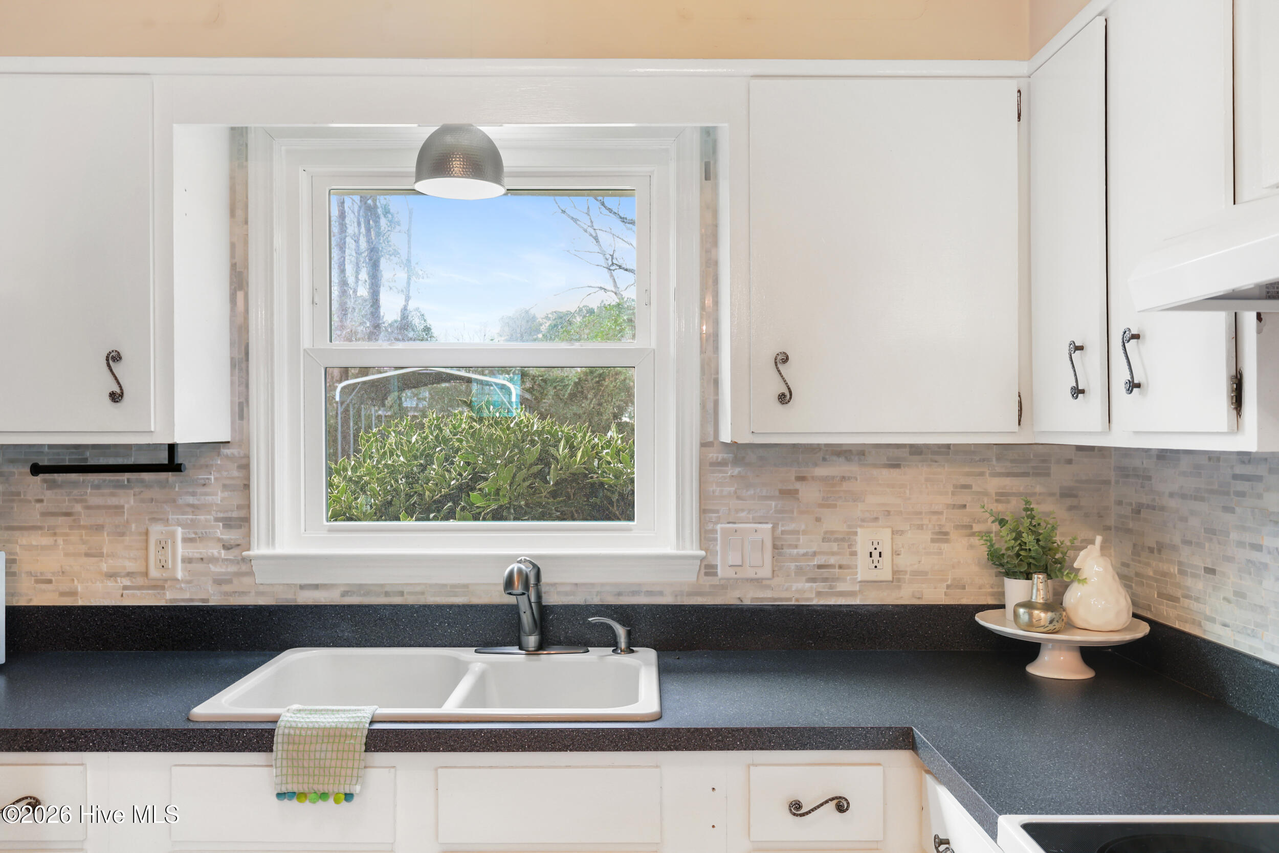 100558857 | Photo 14