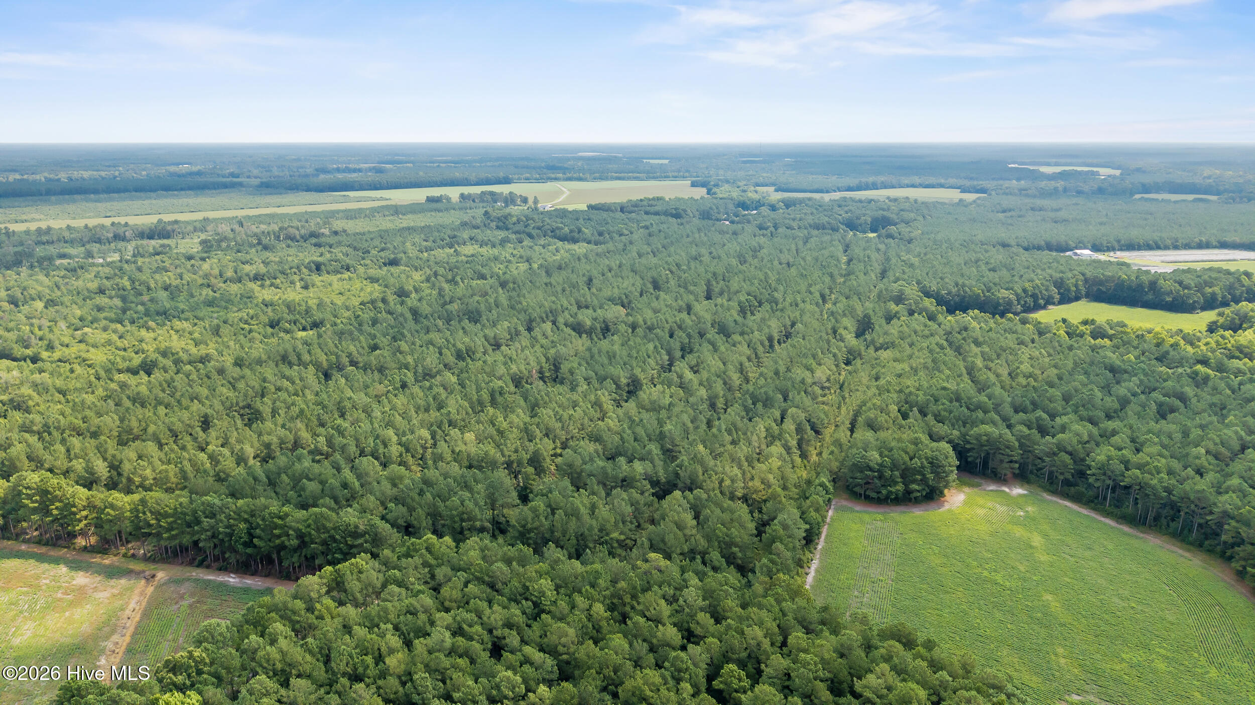 5th image of 0 Indian Hill Rd, Willard, NC 28478 | MLS# 100589262