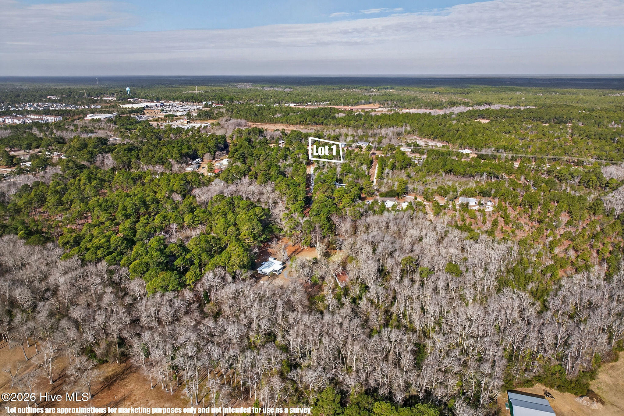 100552398 | Photo 12