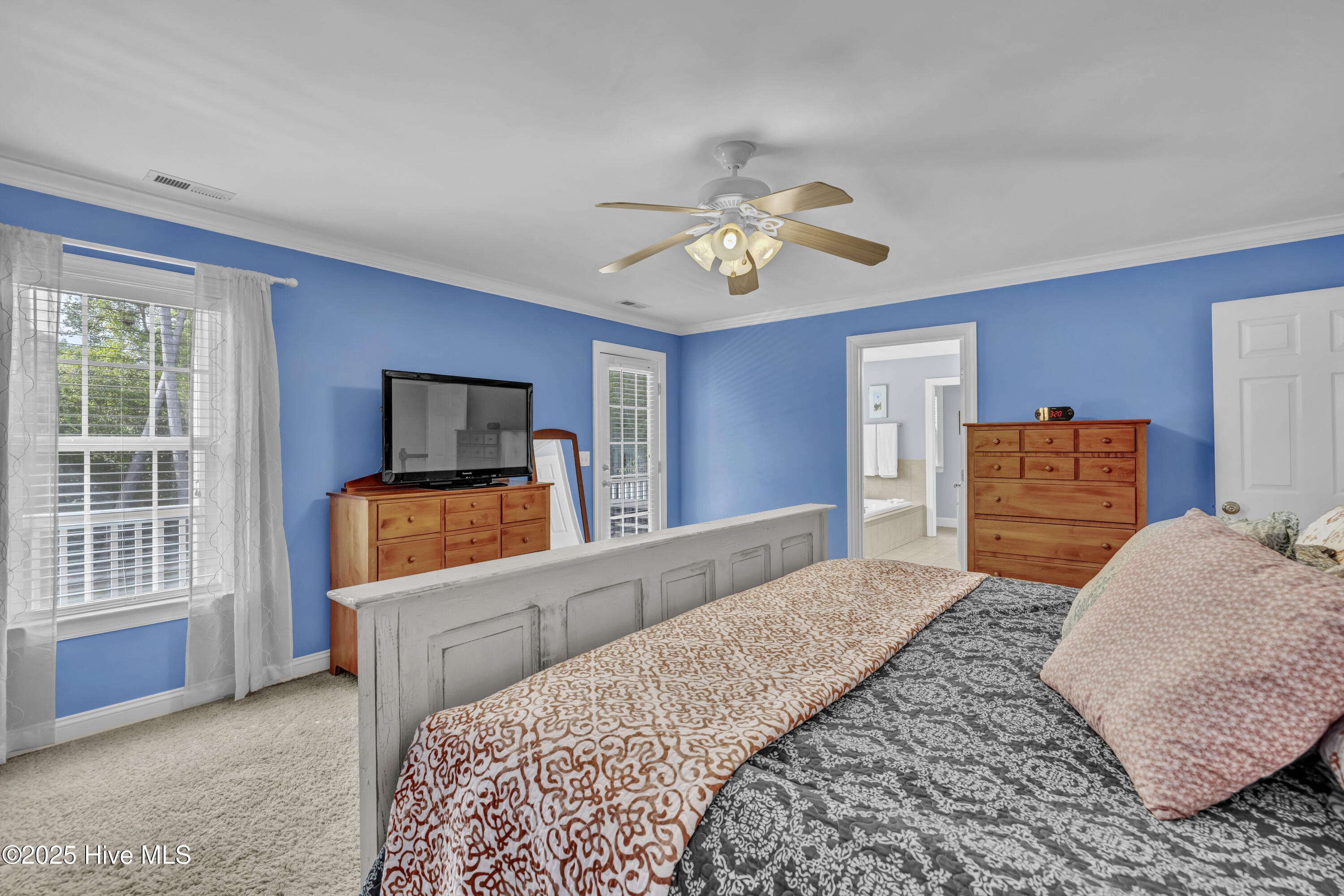 100533968 | Photo 23