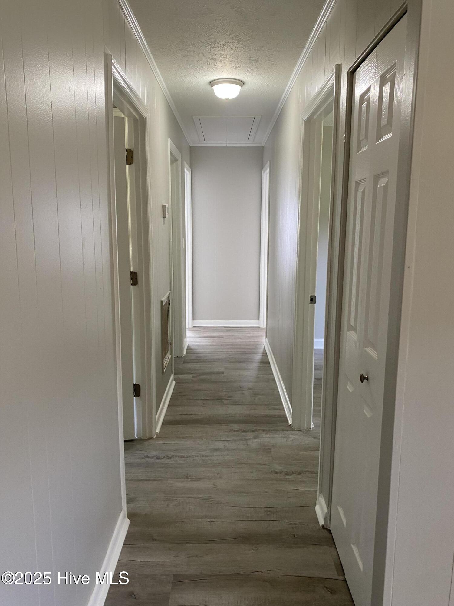 100530577 | Photo 25