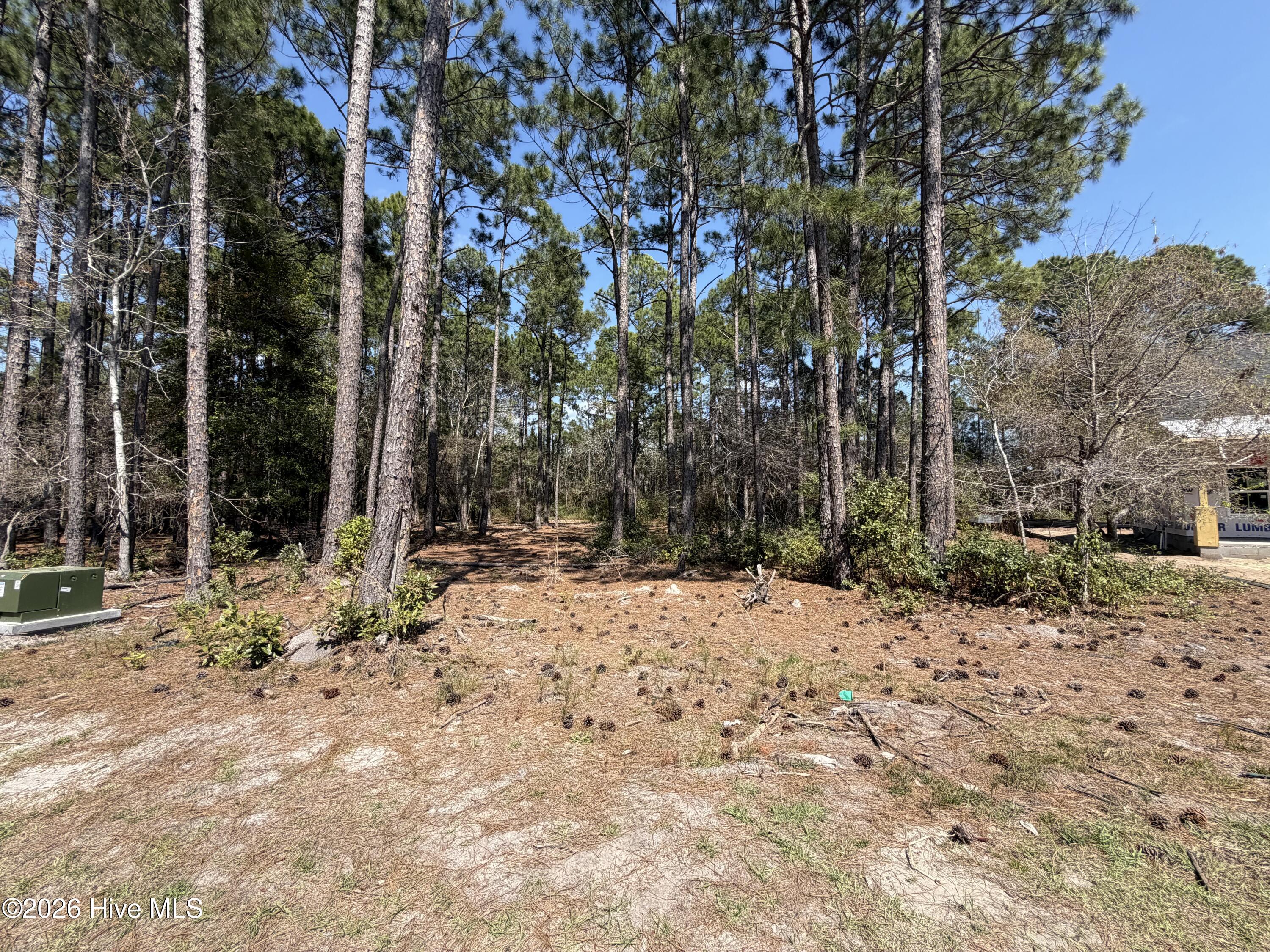 6786 Holton Place, Ocean Isle Beach, NC, 28469