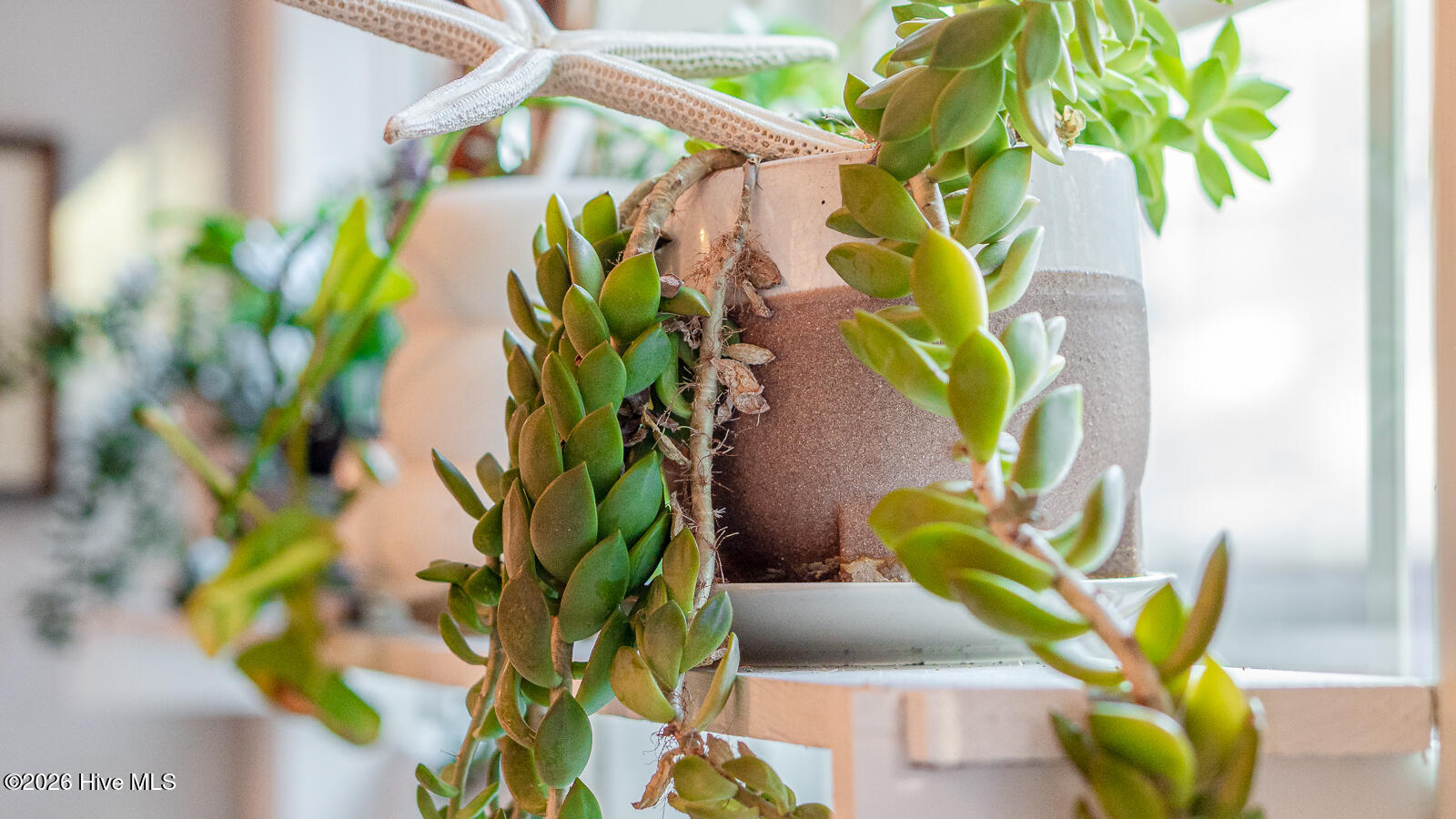 100558017 | Photo 21