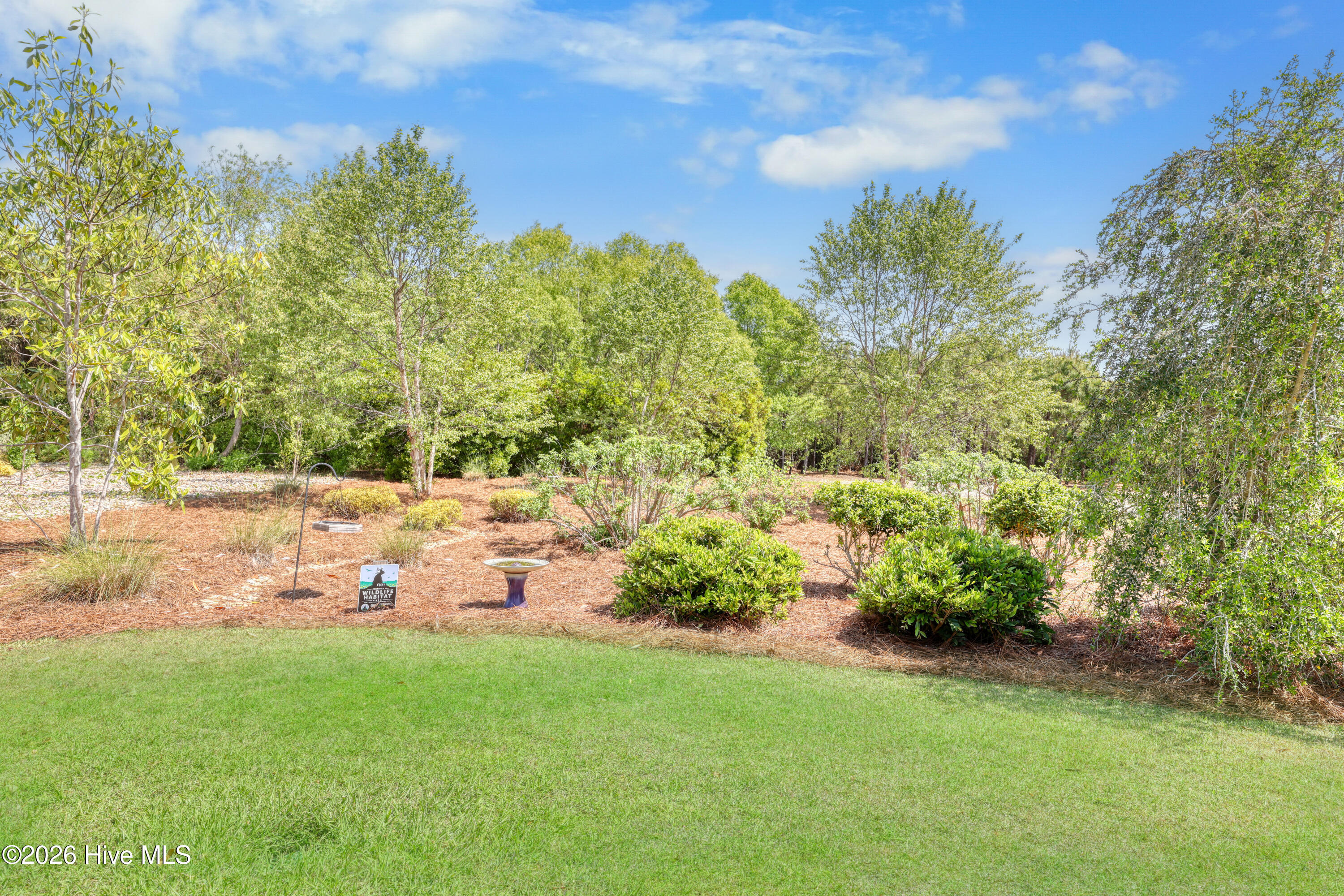 100569596 | Photo 43