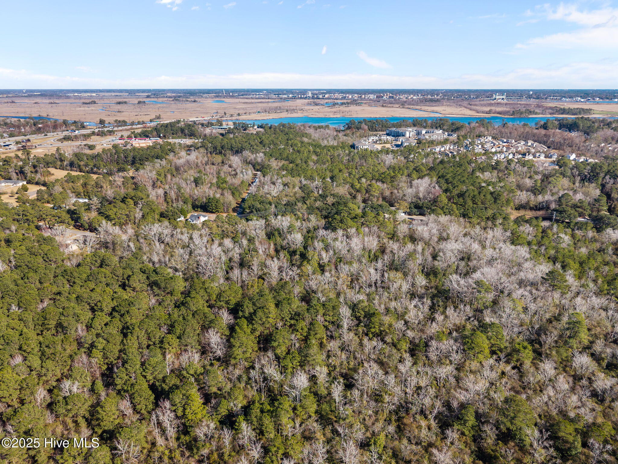 100545203 | Photo 13