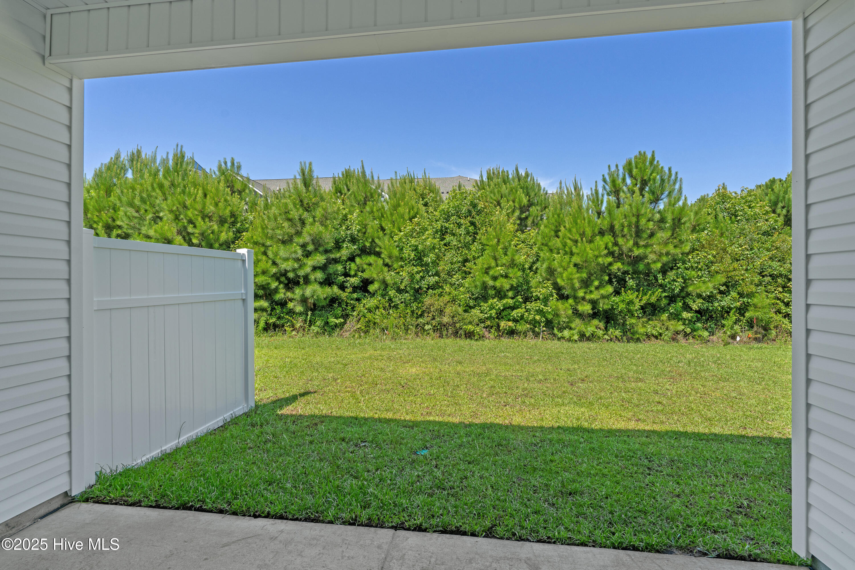 100534504 | Photo 17