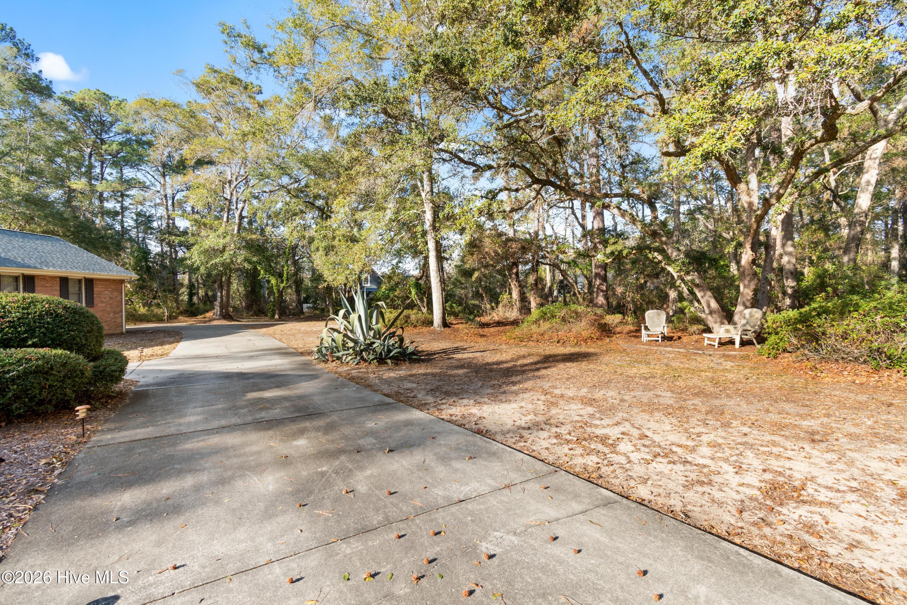 100549008 | Photo 38