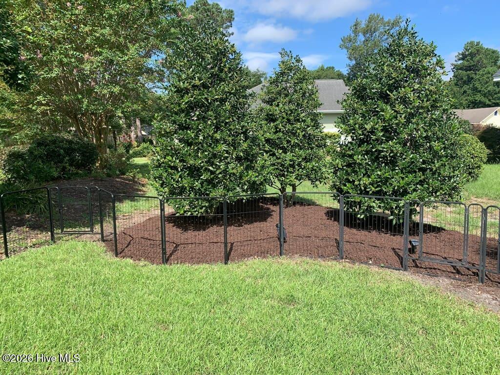 100554022 | Photo 55