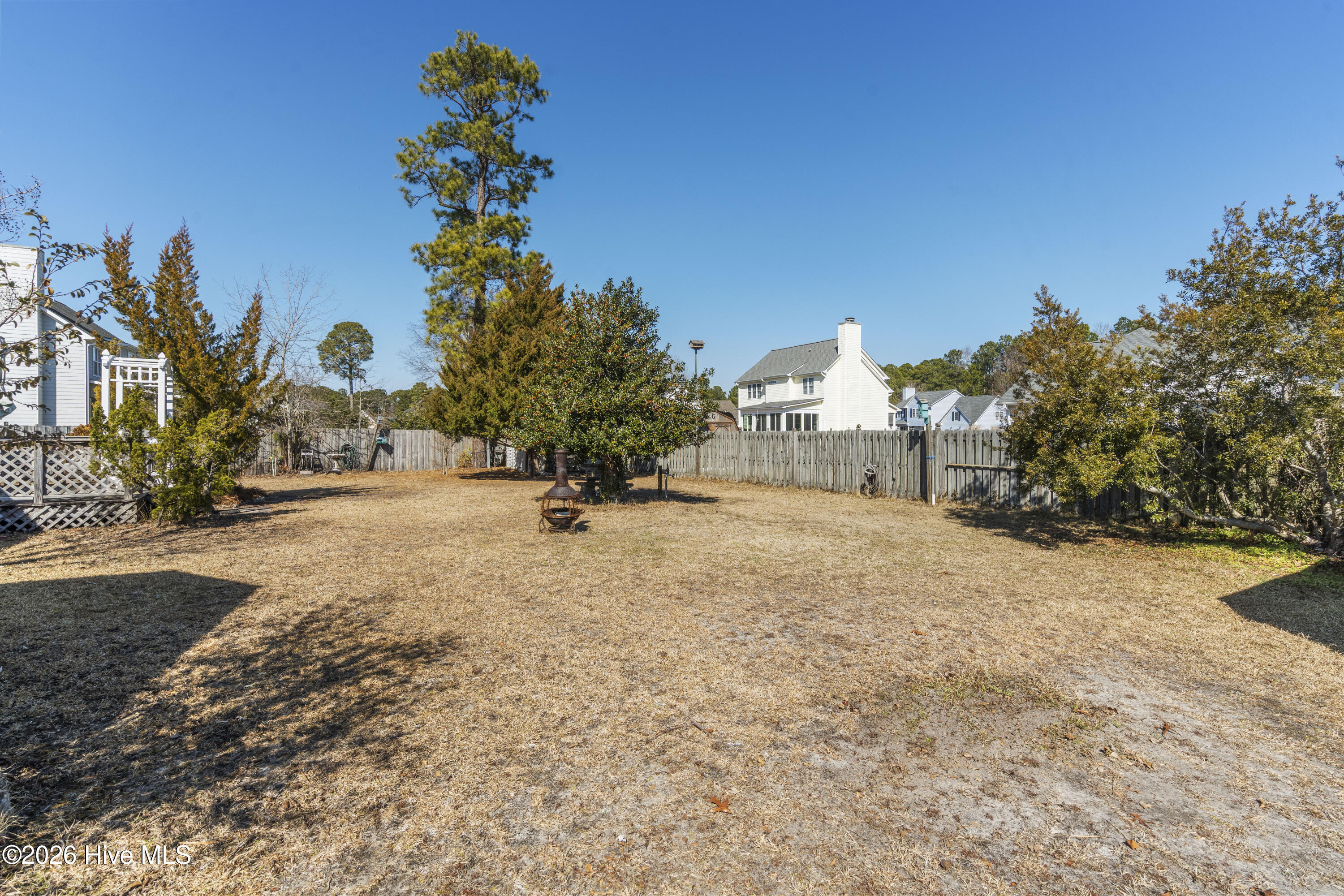 100554853 | Photo 47