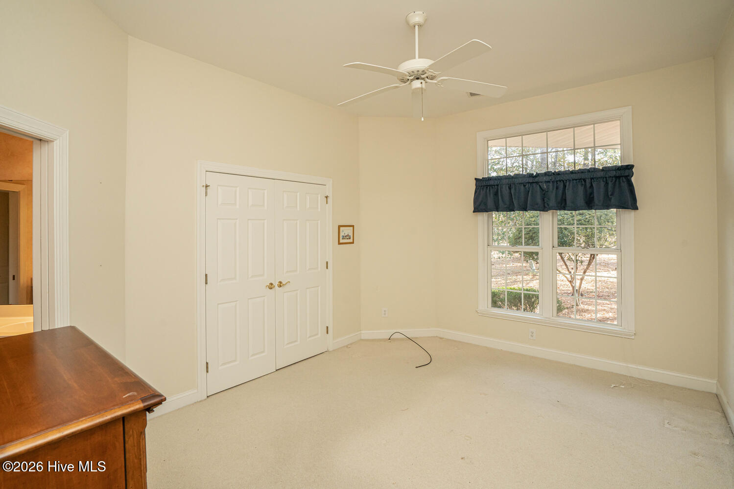 100551245 | Photo 31