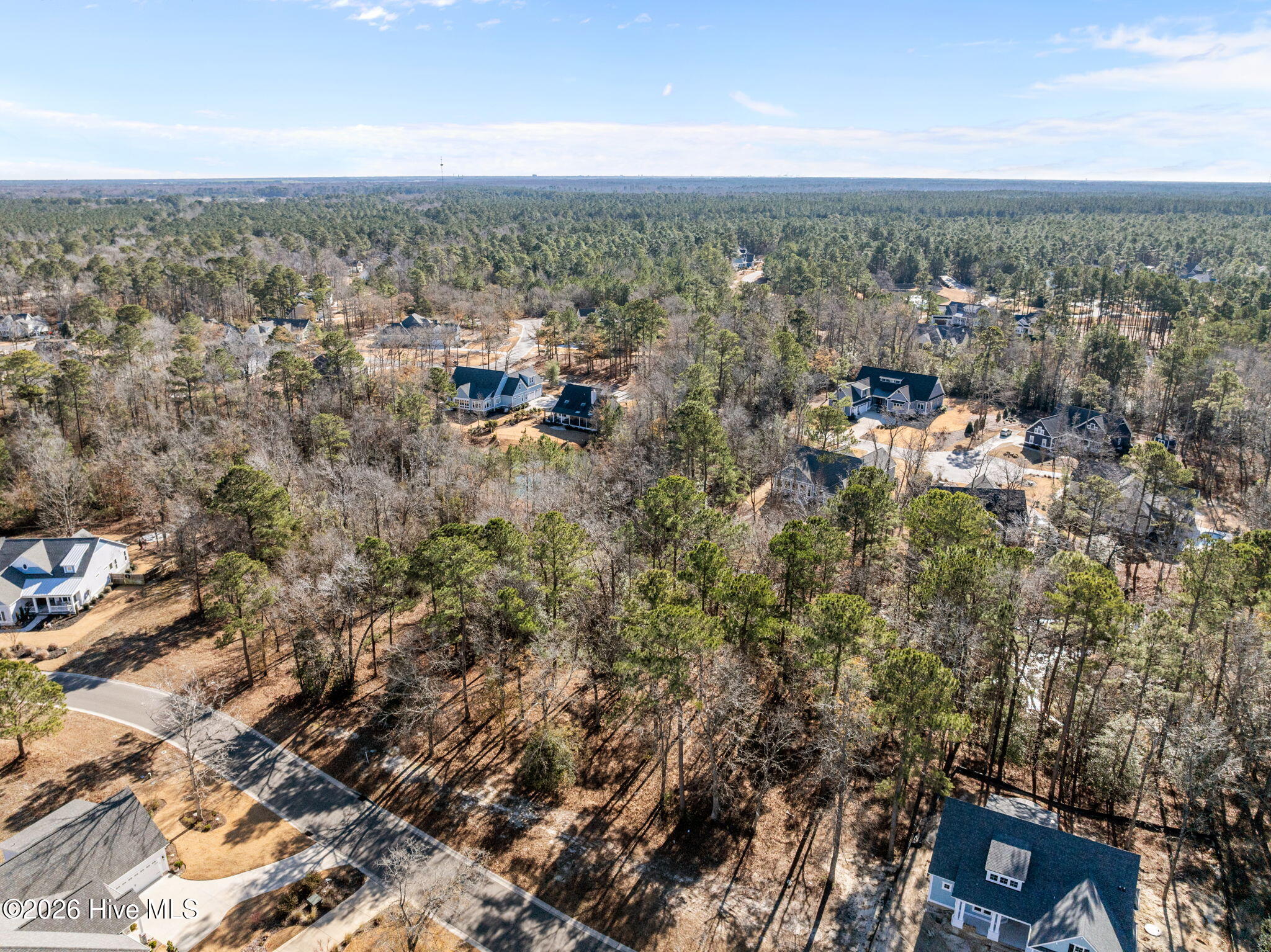 100547475 | Photo 17