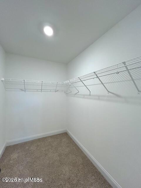 100538502 | Photo 29