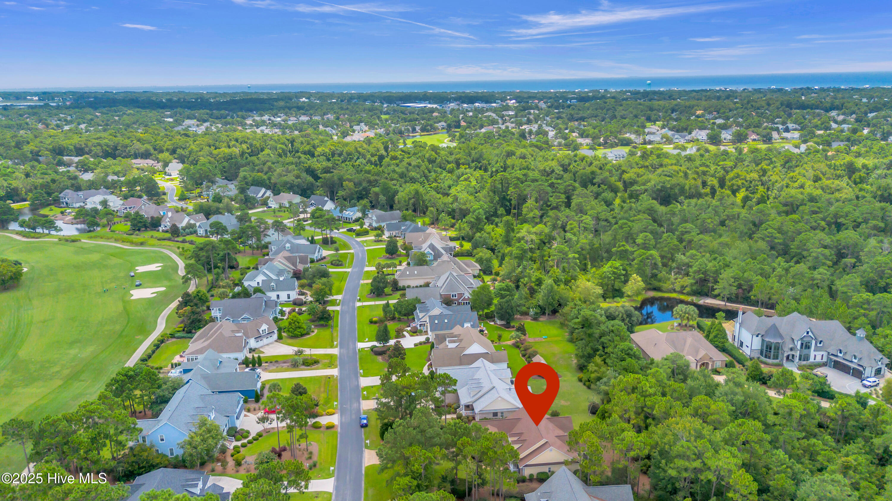 100523896 | Photo 50