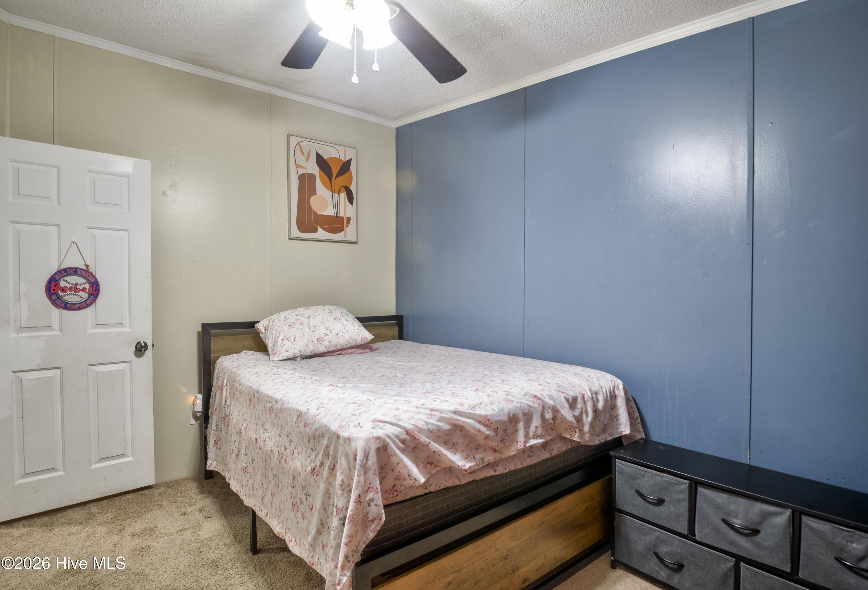 100566927 | Photo 22