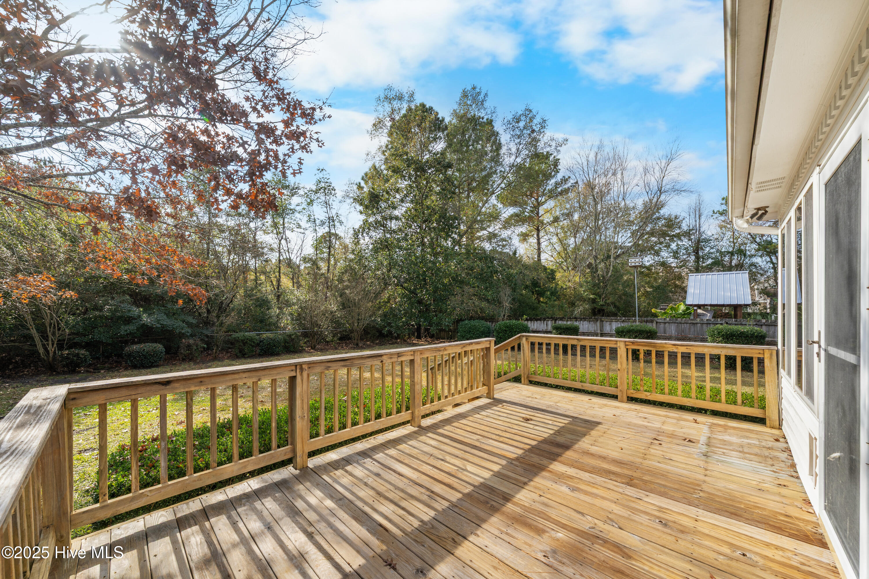 100542635 | Photo 63