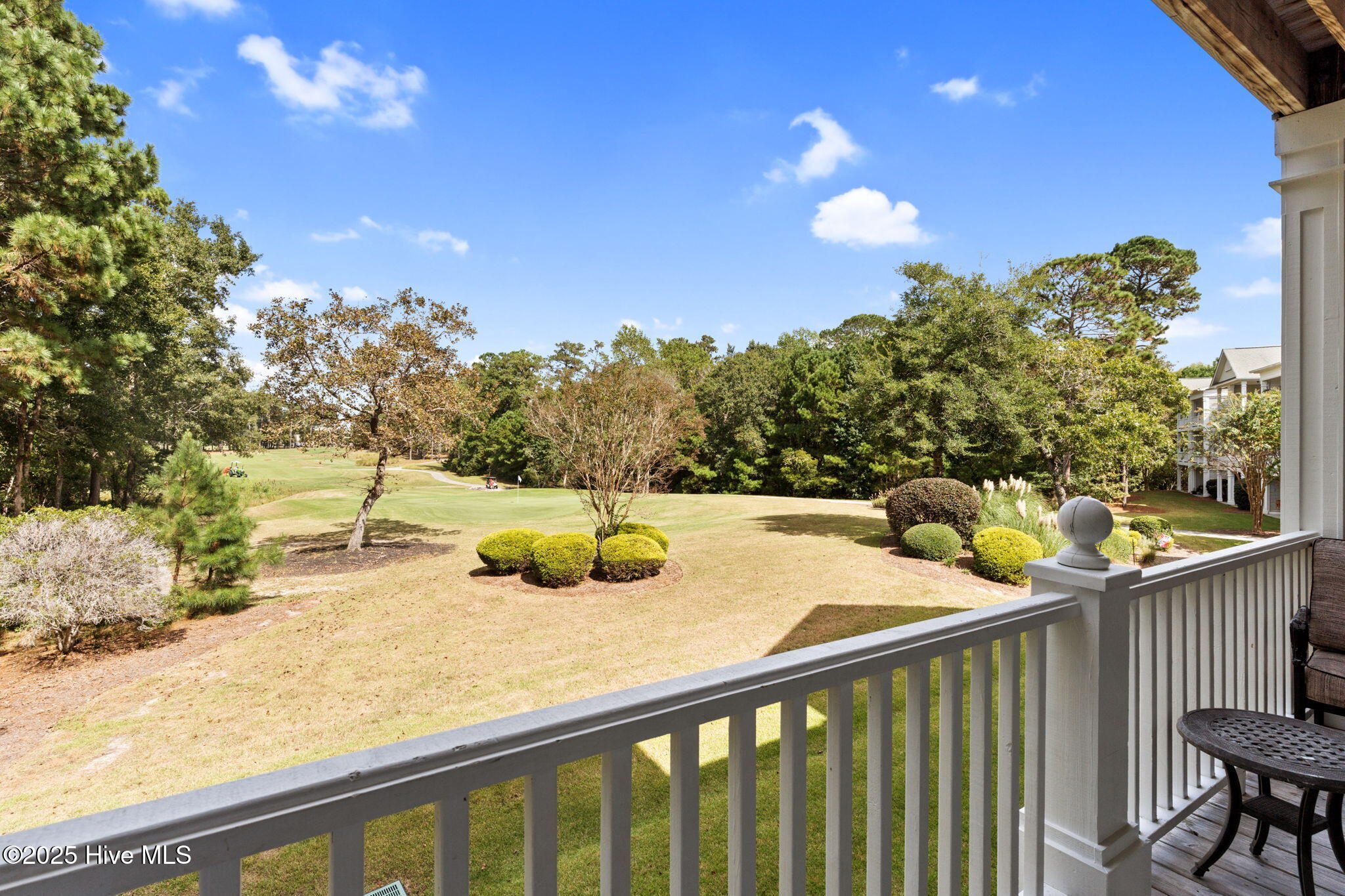 100534473 | Photo 16