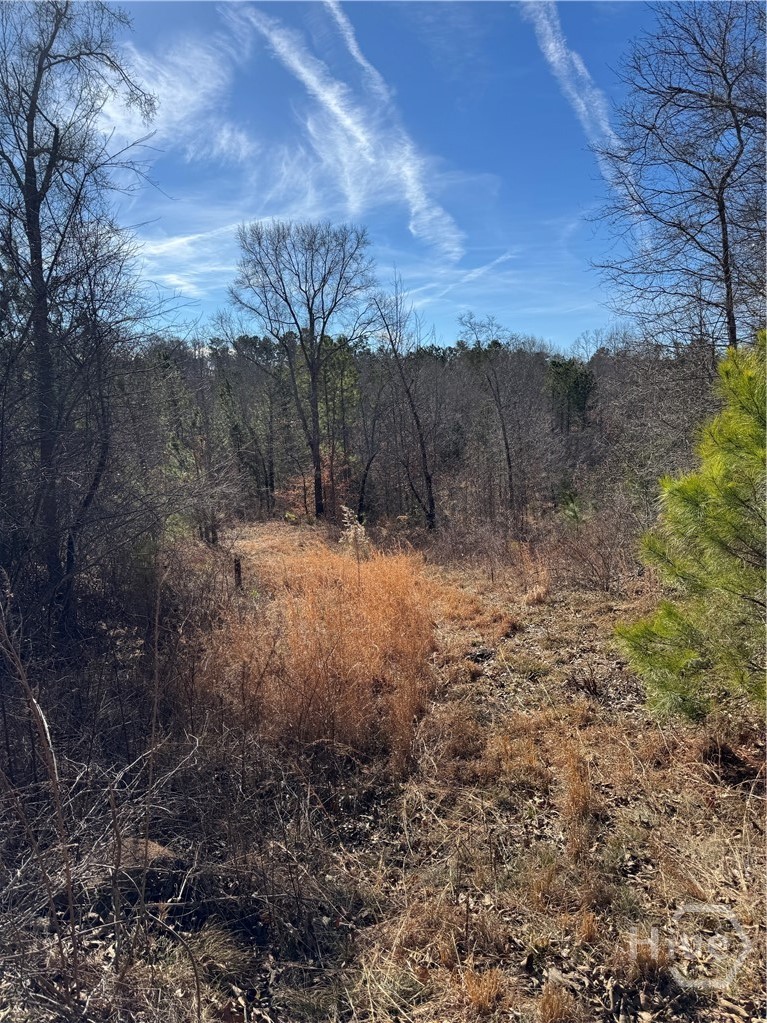 738 Old Mineral Springs Road, Elberton, GA, 30635