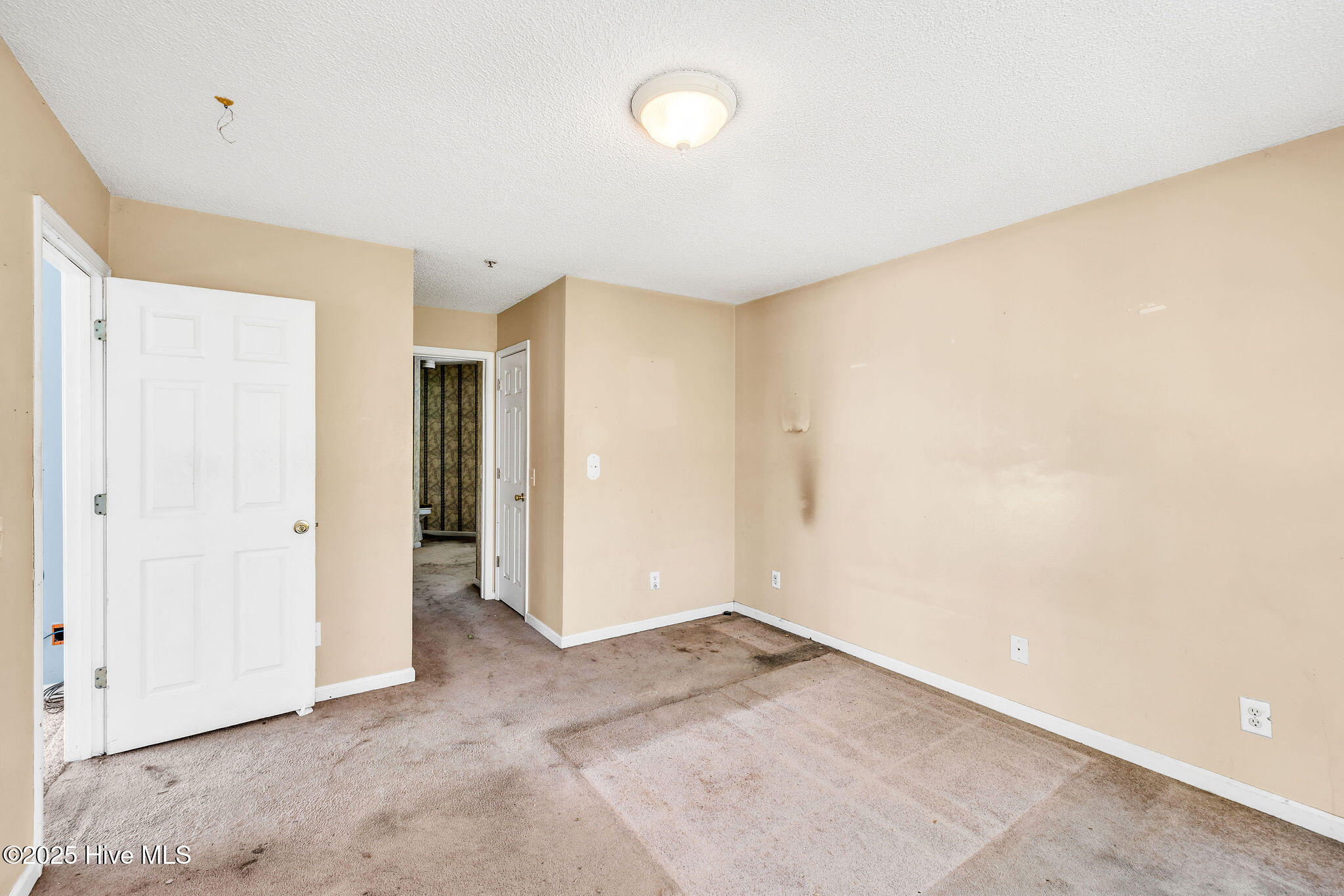 100541410 | Photo 10