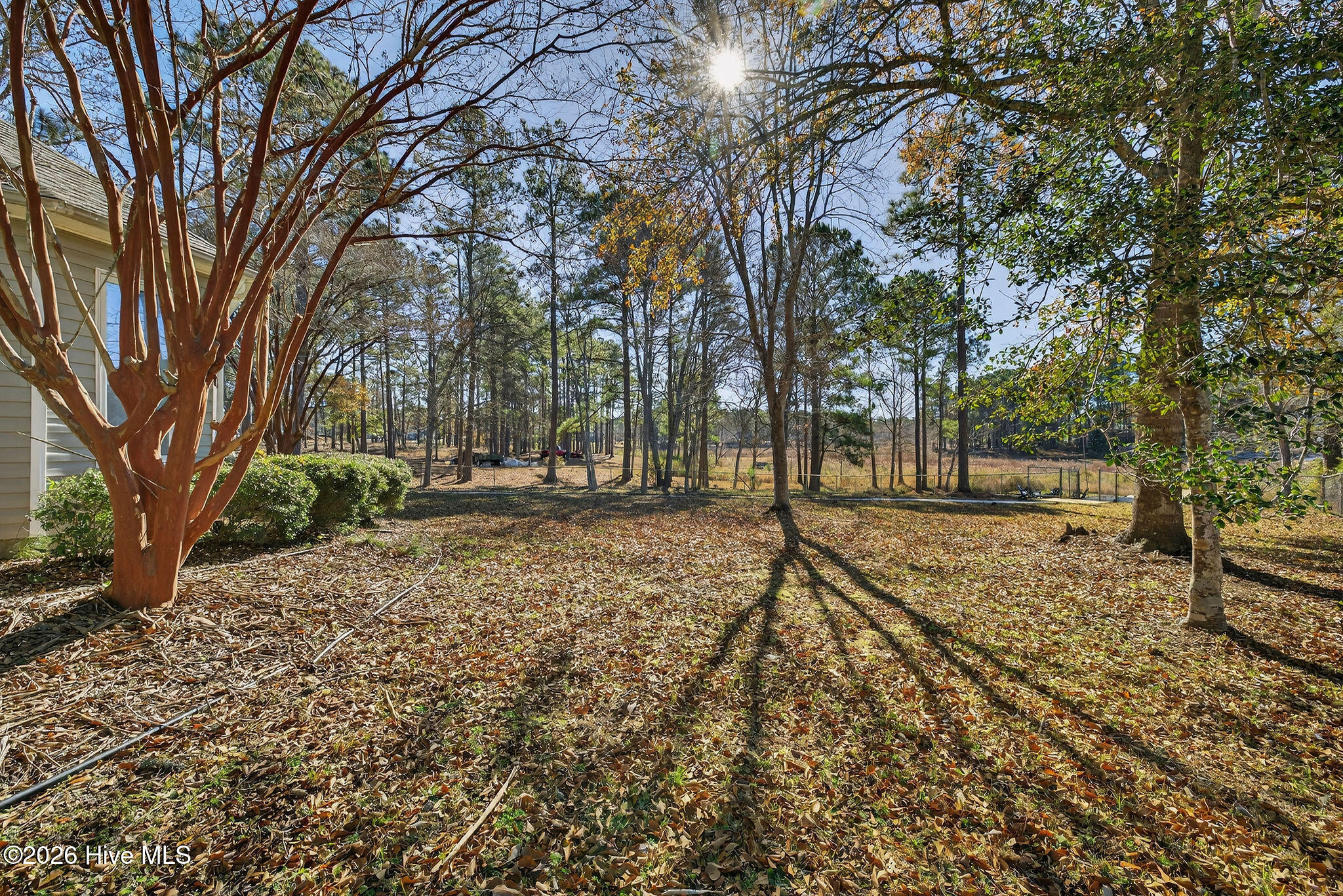 100549331 | Photo 13