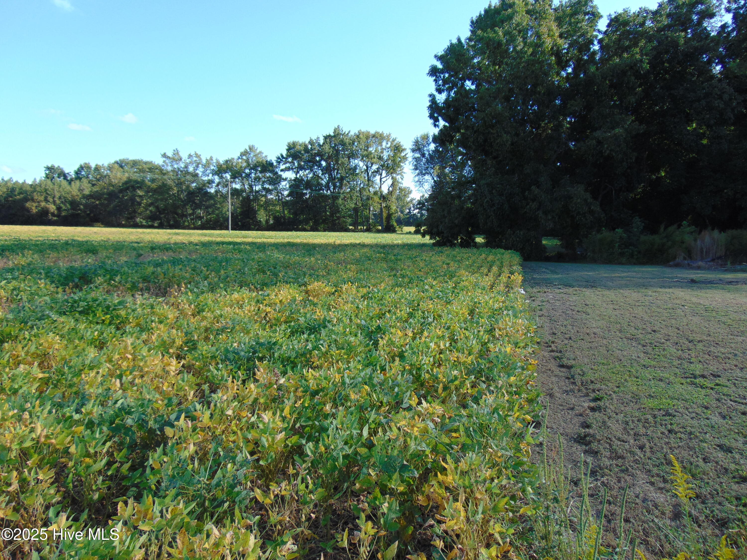 13619 Us Highway 258, Scotland Neck, NC, 27874