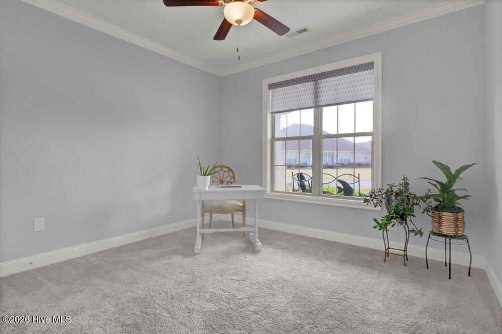 100560096 | Photo 17