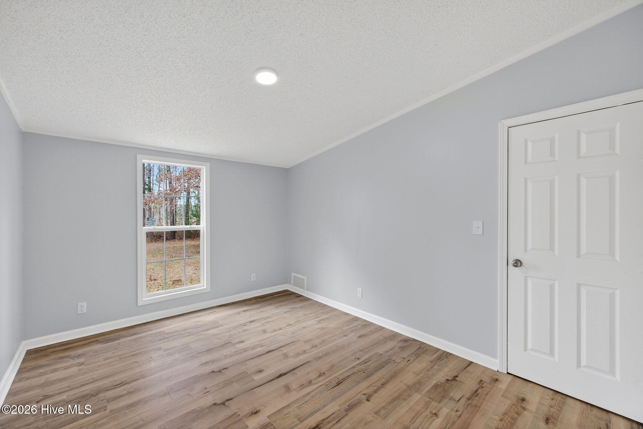 100556800 | Photo 15