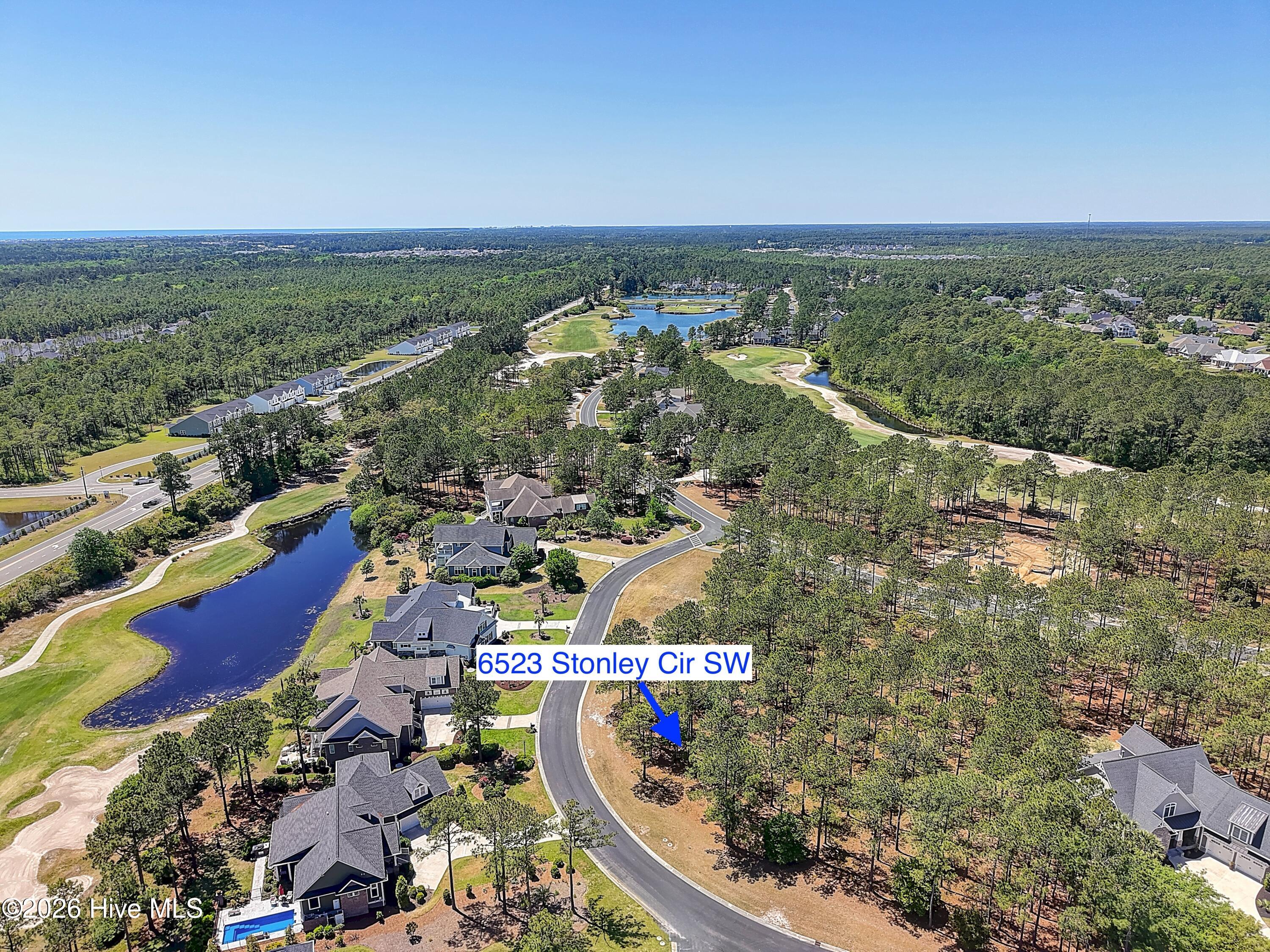 100569587 | Photo 11