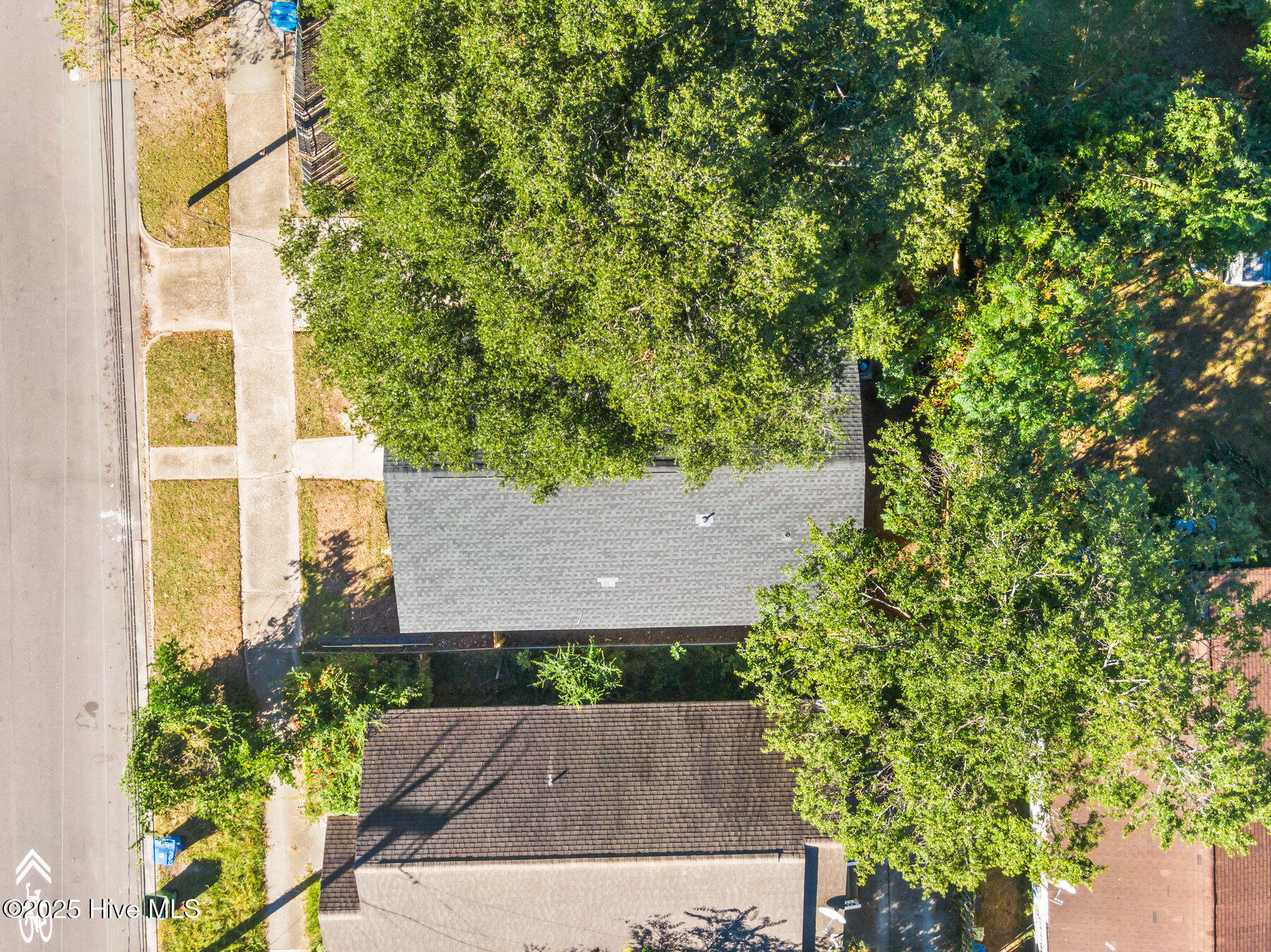 100536748 | Photo 25