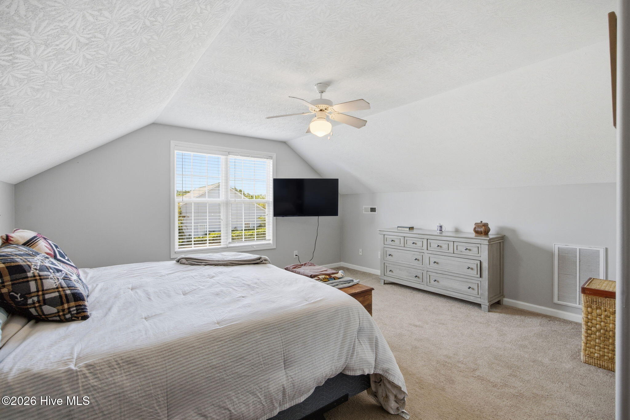 100567887 | Photo 29