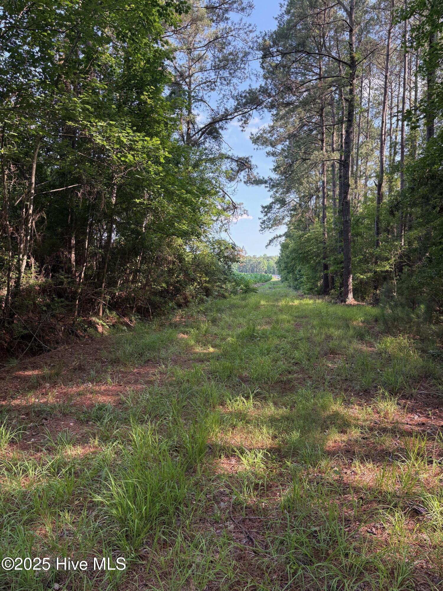 100512283 | Photo 10