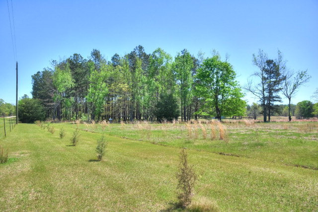 10955 Edgehill Road, Gibson, GA 30810 Listing Photo  39