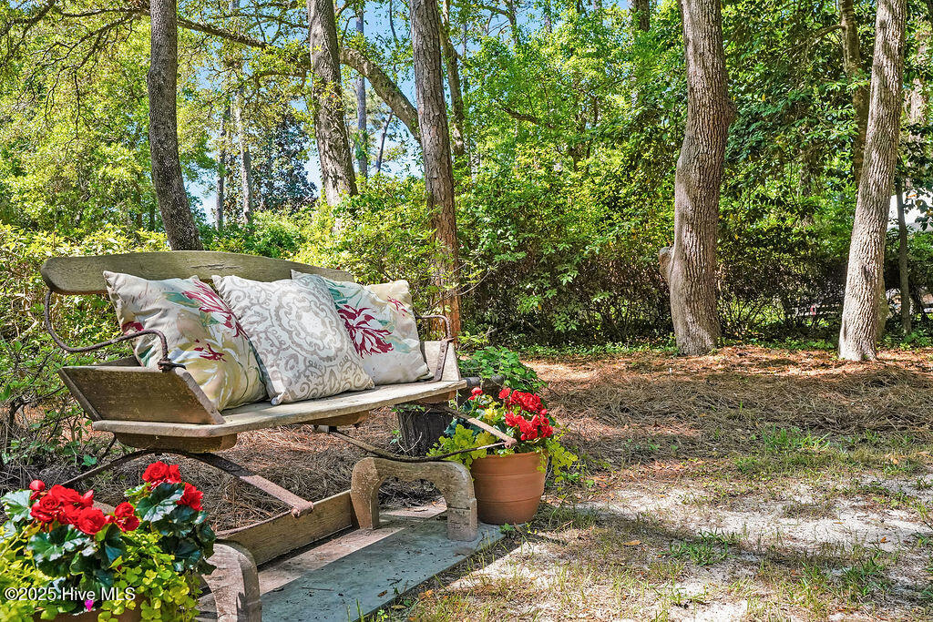 100504453 | Photo 43