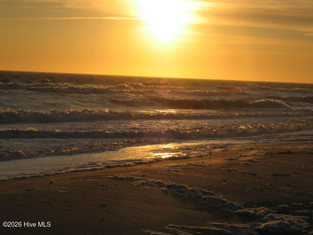 100565037 | Photo 18