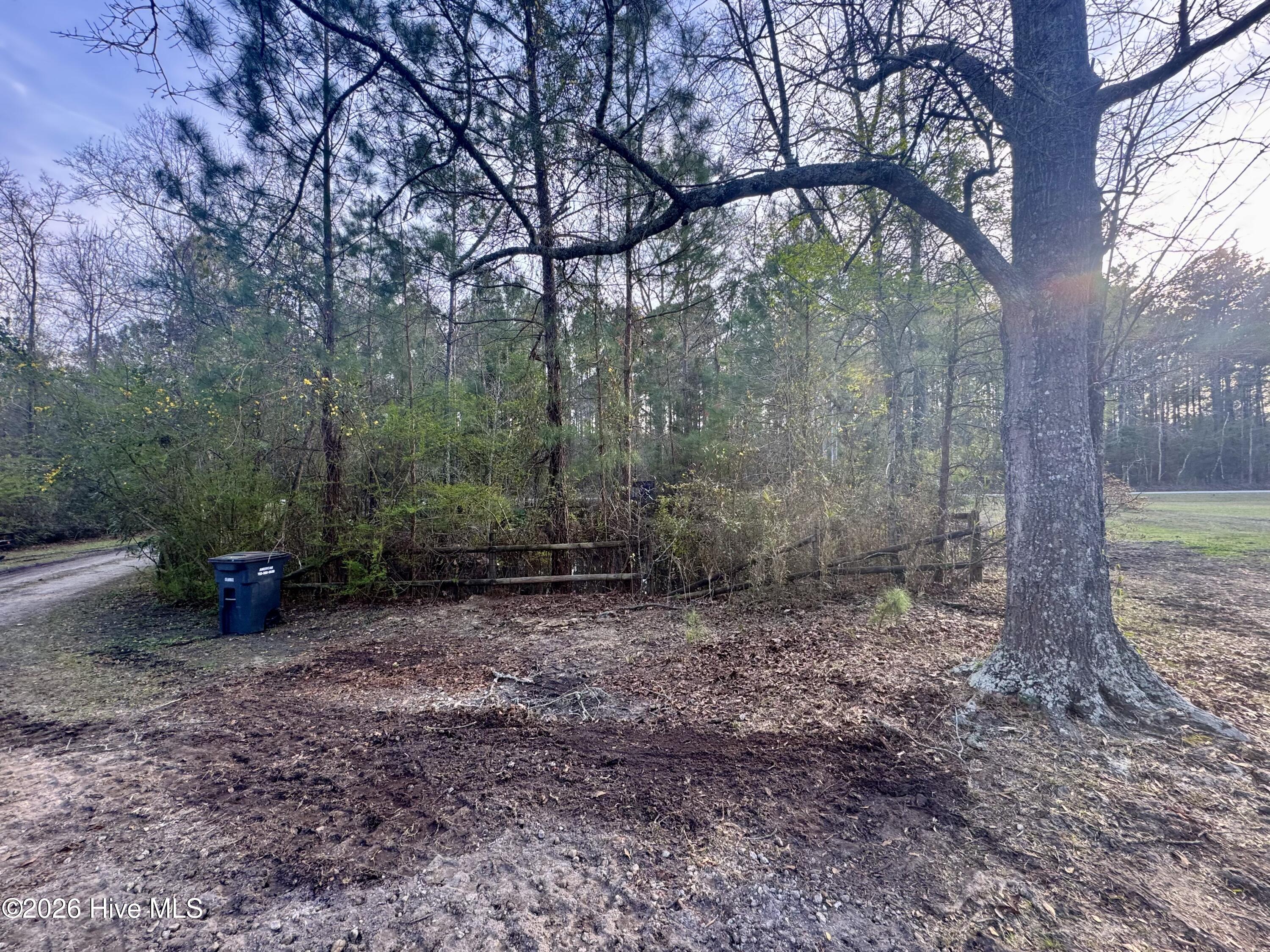 100561896 | Photo 12