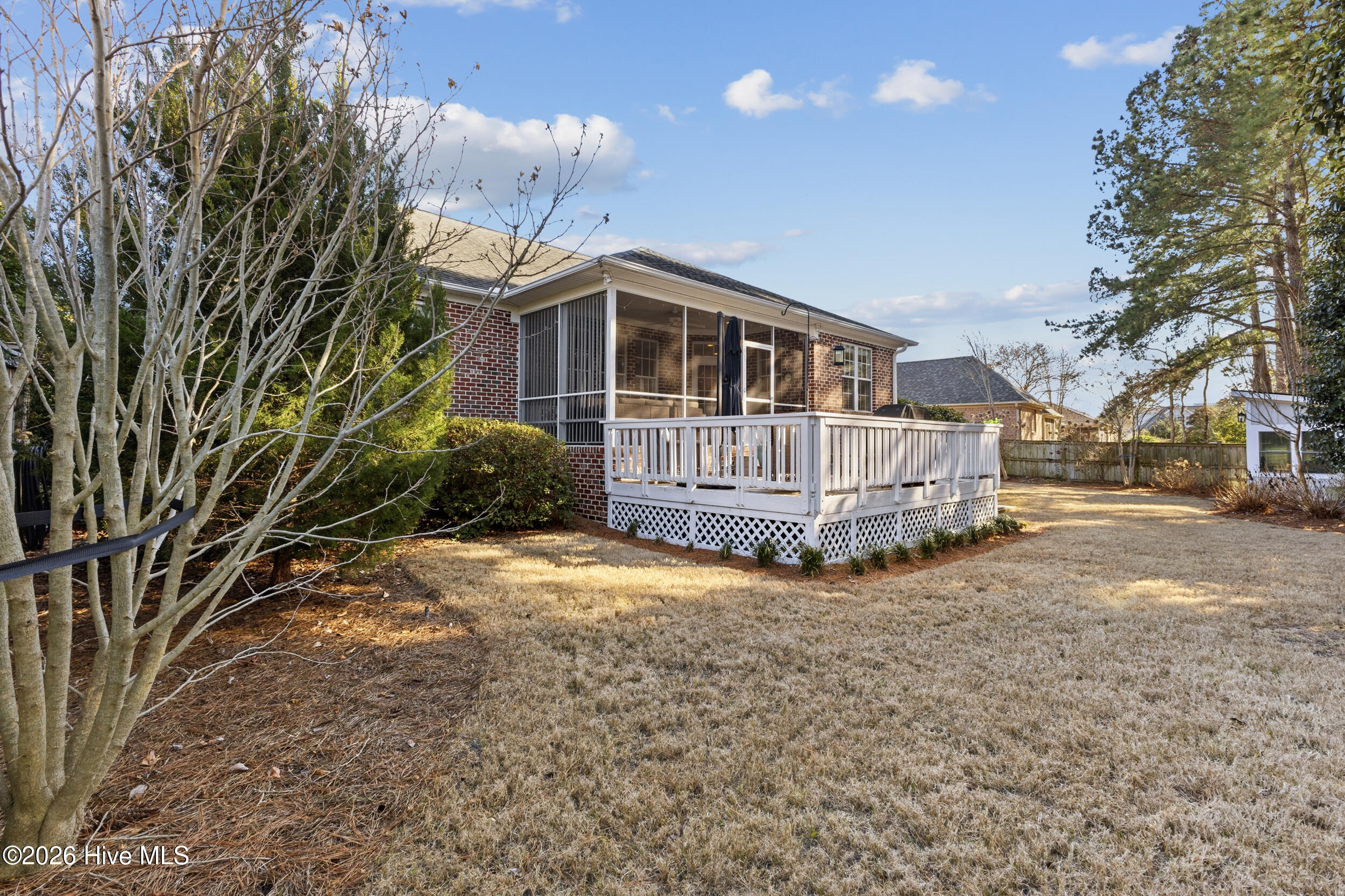 100558582 | Photo 42