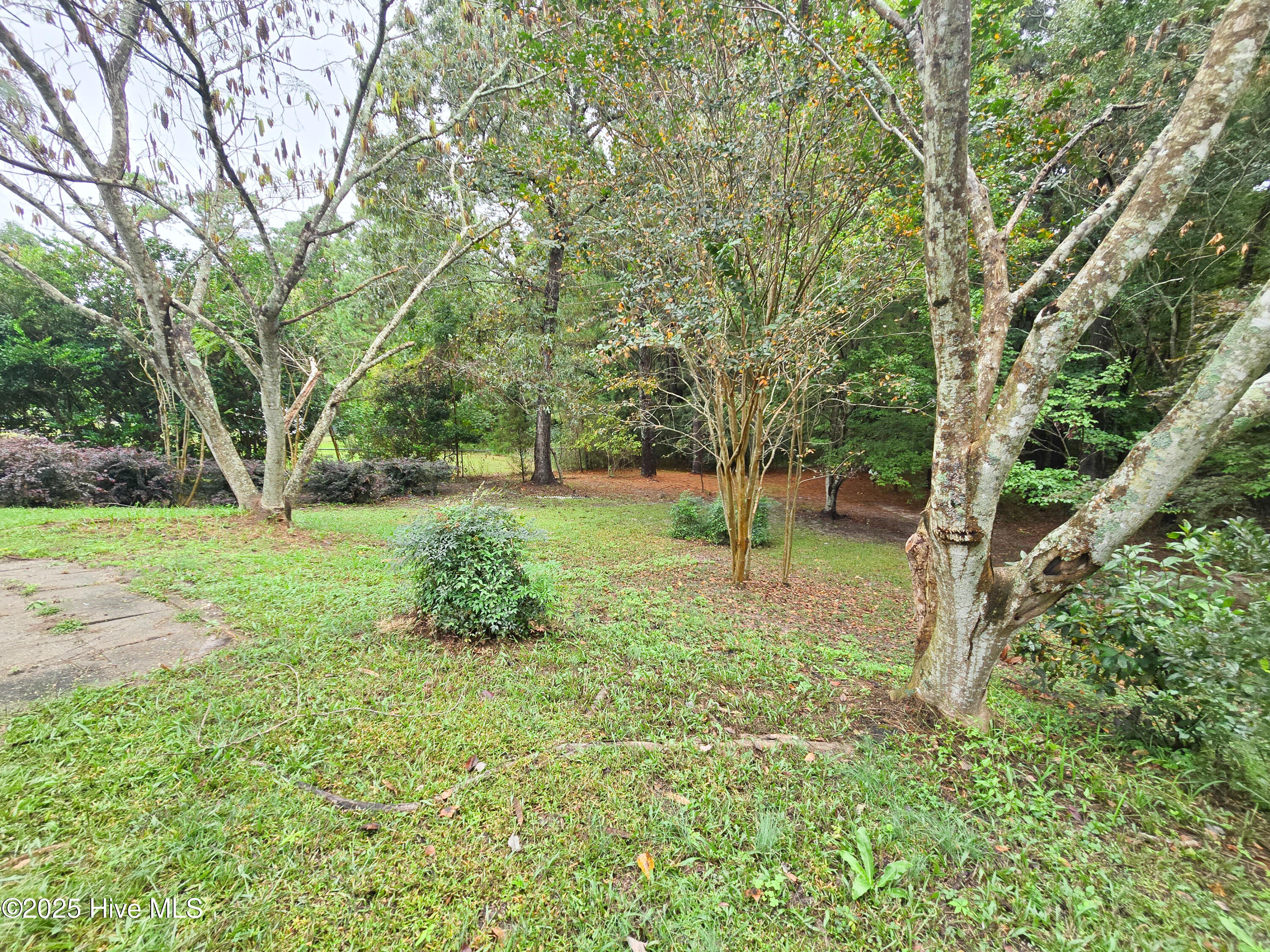 100533714 | Photo 32