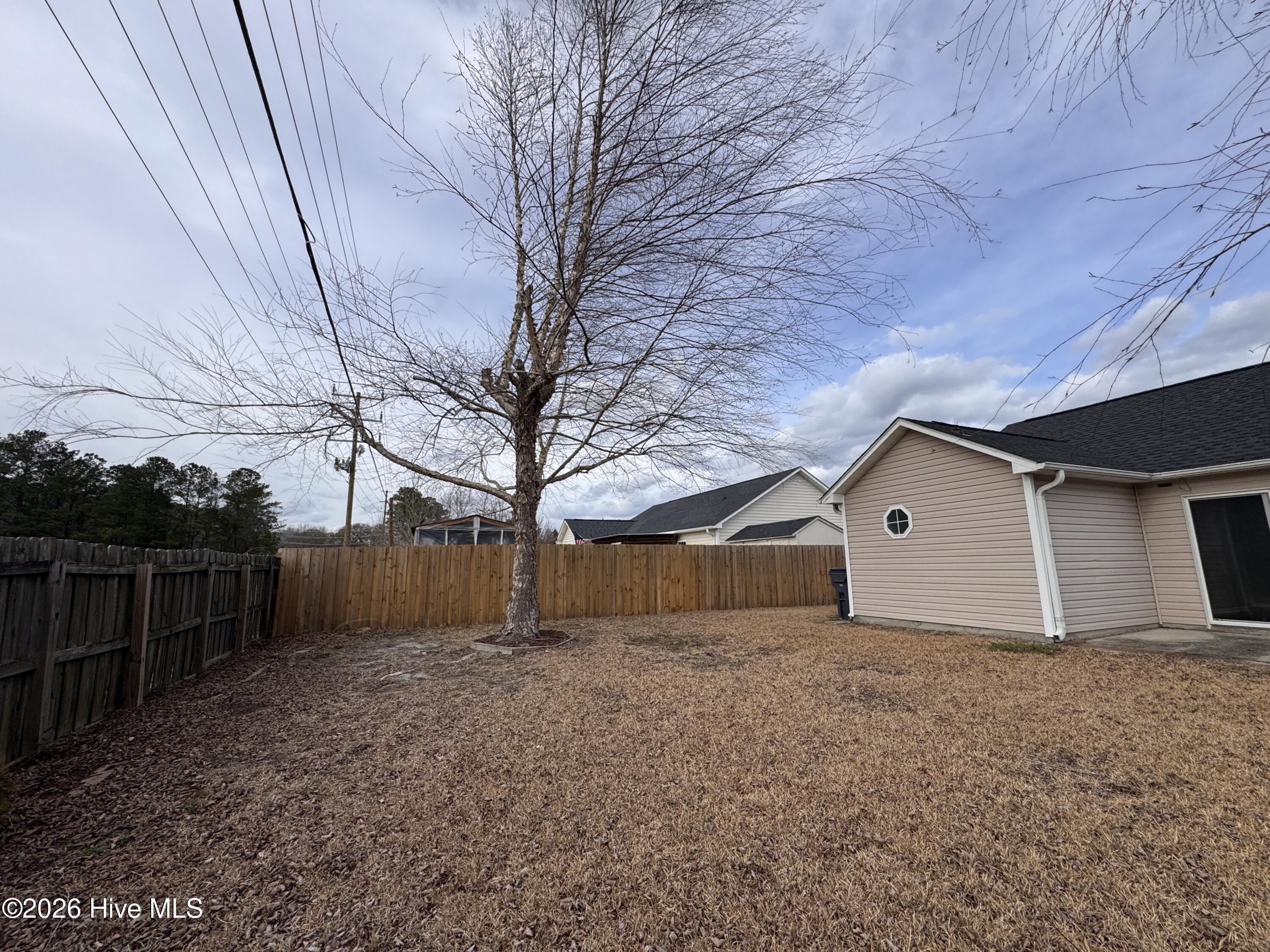 100556334 | Photo 20