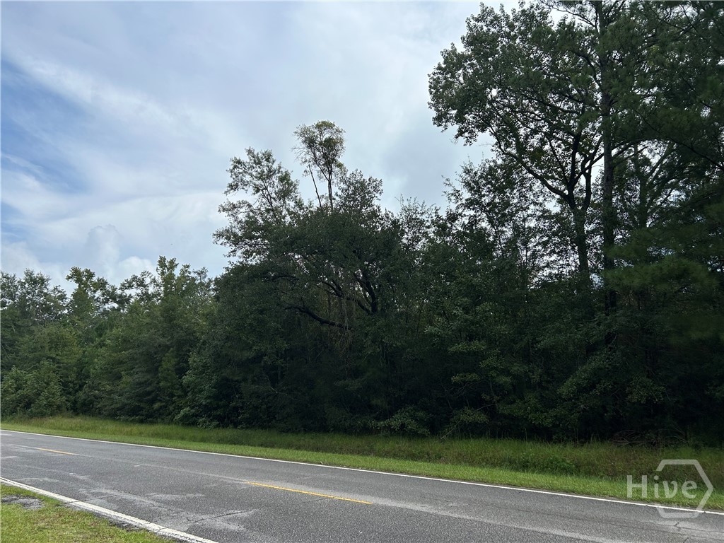 Wooded roadside parcel beside a paved two-lane road.