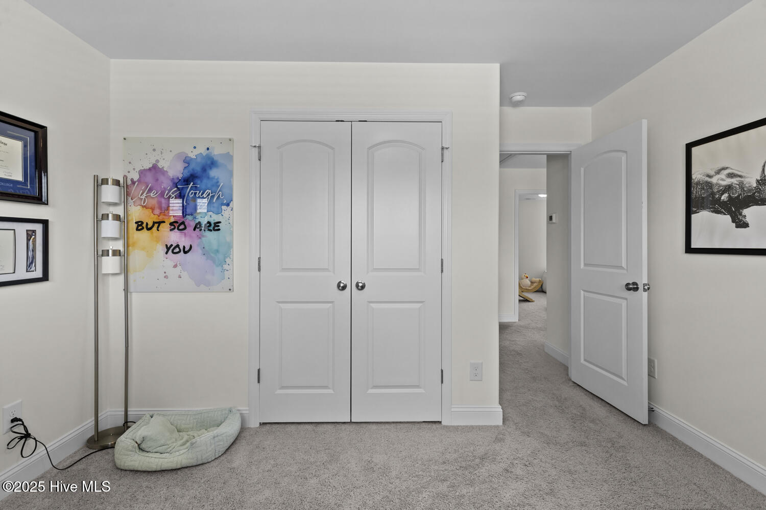 100519985 | Photo 15