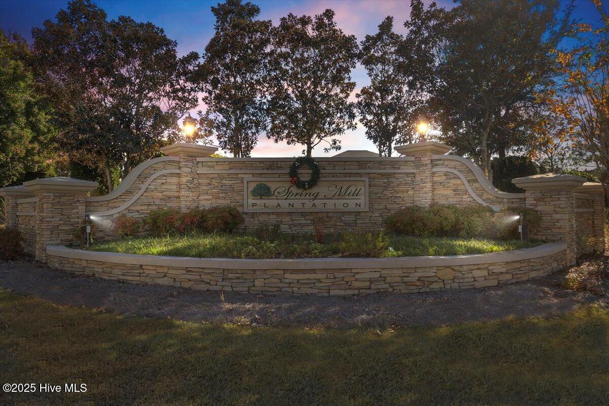 100541997 | Photo 50