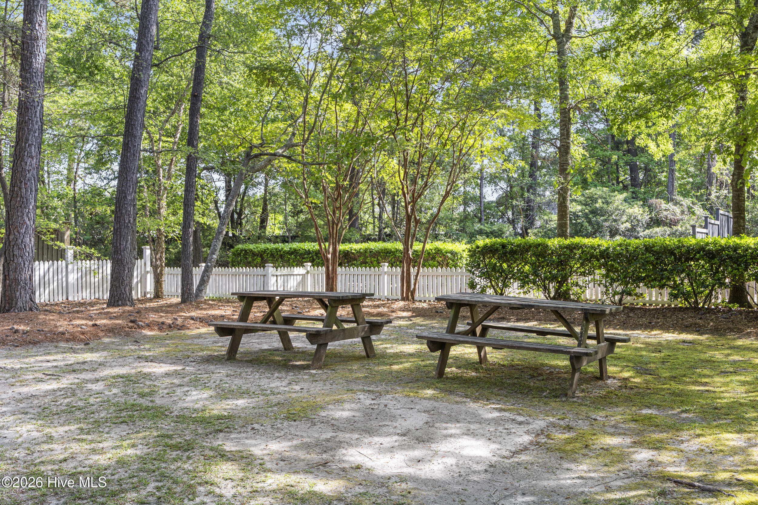 100567913 | Photo 53