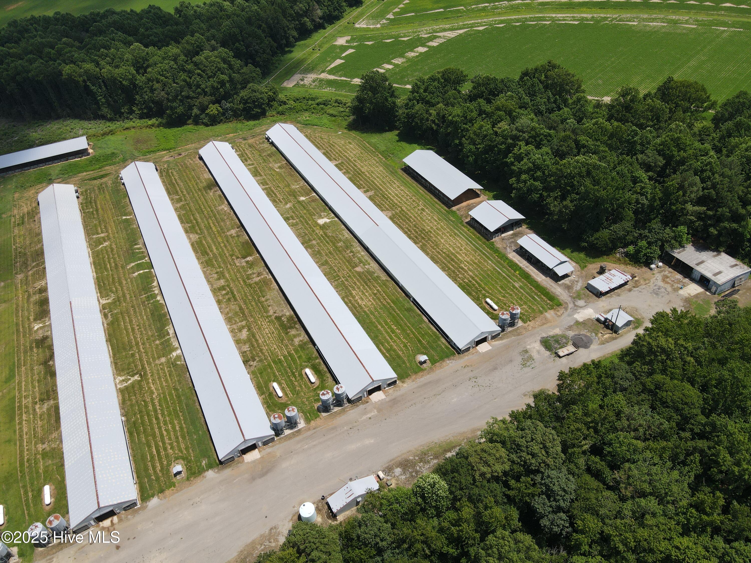 Tbd E Woodrow School Road, Murfreesboro, NC, 27855